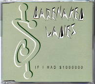 Barenaked Ladies - If I Had $1000000